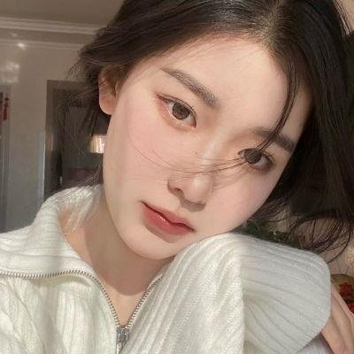锦囊妙录